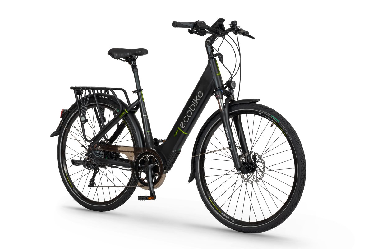 eco bike pro plus