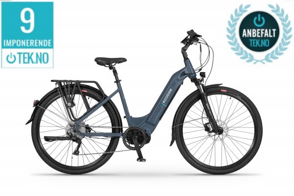 Electric bicycle Ecobike D1 Trekking